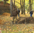 Park Lenina101016 - Vyborg.TV