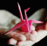 Origami Zhuravlik - Vyborg.TV