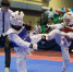 Taekvondo 09 11 15 - Vyborg.TV