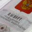 Passport RF - Vyborg.TV