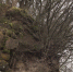 Derevia Annencron - Vyborg.TV