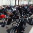 Фестиваль Harley Days или культурное нашествие байкеров - Газета Выборг