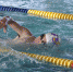 Swimming large - Vyborg.TV