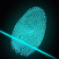 Fingerprint - Vyborg.TV
