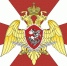 Rosgvardia - Vyborg.TV