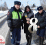 Белгород - МВД Выборгского района