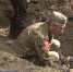POISCOVIKI 09.04 - Vyborg.TV