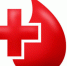 Donor - Vyborg.TV