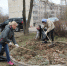 АО "Выборгтеплоэнерго" приняло участие в общегородском субботнике - Выборгтеплоэнерго