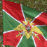 Flag Pogranvoiska - Vyborg.TV