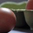 Eggs - Vyborg.TV