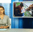 SVISH OB IPPOTERAPII 18.07.18 - Vyborg.TV