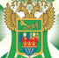 Customs Vyborg - Vyborg.TV