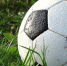 Football ball large1 - Vyborg.TV