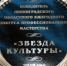 Выборгские «Эльфы» лучшие в области - Администрация МО Выборгский район