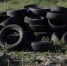 Nokian Tyres призывает выборжцев сообщить о свалках старых шин - Газета Выборг