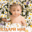 Всероссийская Акция «Подари мне жизнь!» - Выборгский роддом