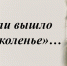Имена известные и неизвестные. Николай Отрада - Газета Выборг