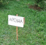 Аренду государственных и муниципальных земель продлят без бюрократии - Газета Выборг
