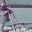 1942 год. Маленький Юха. Фото Ялмари Ланкинена. Источник: Finna.fi - Газета Выборг