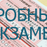 В Выборгском районе прошел репетиционный экзамен по русскому языку в формате ЕГЭ - Администрация МО Выборгский район