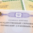 В Выборгском районе более 11 000 семей - обладатели материнского капитала - Администрация МО Выборгский район