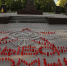 В Выборге зажгли «Лучи Победы» - Администрация МО Выборгский район