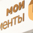 В Ленобласти визу можно будет оформить в МФЦ - Газета Выборг