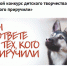 Два Ивана из Выборгского района победили в конкурсе «Мы в ответе за тех, кого приручили» - Газета Выборг