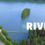 Проект Rivergo рассказал, как вернуть лососевых в Вуоксу - Газета Выборг