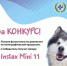Конкурсные работы принимаются с 1 по 28 февраля, а итоги будут объявлены в марте - Газета Выборг