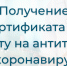 Как получить сертификат о наличии антител коронавируса? - ГБУЗ ЛО Выборгская МБ