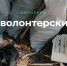 Конкурс волонтерских уборок приглашает очистить природу и выиграть денежные призы - Газета Выборг