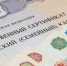 Маткапитал разрешено направить на оплату образовательных услуг, которые предоставляют ИП - Газета Выборг