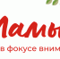 19 ноября: проект  "Мамы в фокусе внимания" - ГБУЗ ЛО Выборгская МБ