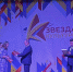 Выборгские проекты вновь стали «Звездами культуры» - Газета Выборг