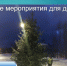 На благоустроенной территории Батарейной горы установили елку - Газета Выборг