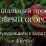 Участники акции-конкурса «Добрый огород» из Ленобласти стали победителями - Газета Выборг