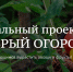 Гатчинский «Наш веселый огород» выиграл федеральный грант - Газета Выборг