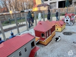 Город кошек