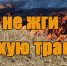 1. - Выборгский район