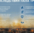 Пал сухой травы- ЗАПРЕЩЁН! - Vbgcity.Ru