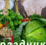 X - Выборгский район