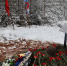 Под Выборгом появилось новое воинское захоронение № 170 - Газета Выборг