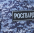 В Выборге росгвардейцы задержали уже судимого гражданина, избившего женщину - Газета Выборг