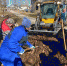 Портовики, муниципалы и жители  навели порядок в Приморске - Газета Выборг