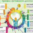 30.09 - 6.10 – День здорового долголетия - ГБУЗ ЛО Выборгская МБ