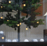 * - Vbgcity.Ru