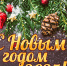 С НОВЫМ 2025 годом! - Выборгский роддом