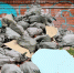 ФАС провела проверку комитета по тарифам Ленобласти - Газета Выборг